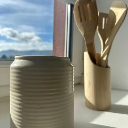 דירה La Cotonnade - Entre Vignes Et וינצנהיים